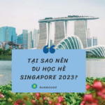 Tại sao nên du học hè Singapore 2023?